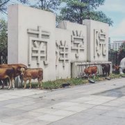 廈門南洋經管學院的微博_微博