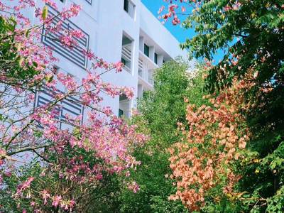 高校招生面對面丨熱門影視取景地--廈門南洋學院來啦!