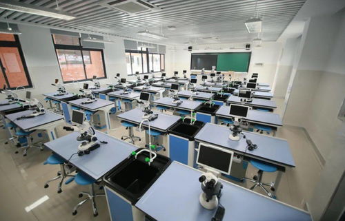 新校園 新希望 現代科技和傳統文化,在這碰撞出奇妙火花