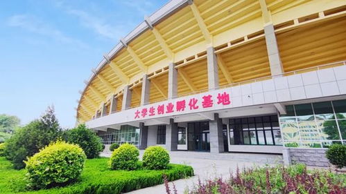 青春 活力 幸福,相約山東現(xiàn)代學(xué)院