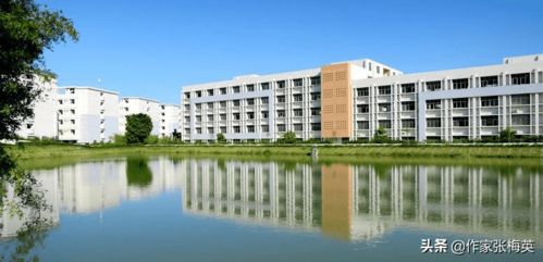 高考志愿填報 廣東最受考生歡迎的5大城市,哪個學校條件最好