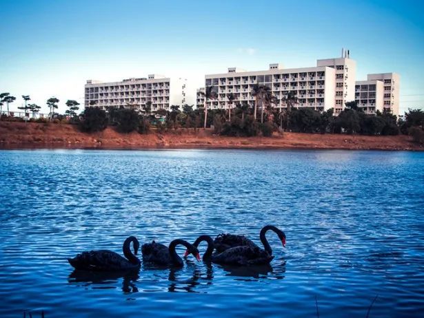 廈門南洋職業學院怎么樣? - 木瑪升學網-免費找學校,免.