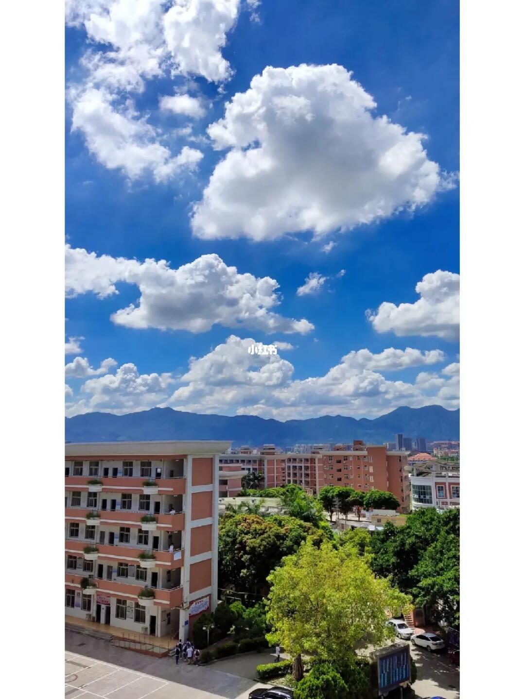 廈門南洋職業學院-福建高考信息平臺