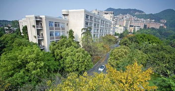 這所財經類院校實力還不錯 適合想去重慶發展的考生