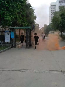 軍訓學什么 翔安消防帶著消防知識走進大小校園