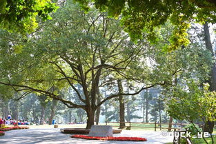 廈門小眾網紅拍照圣地一日游,這樣玩與眾不同