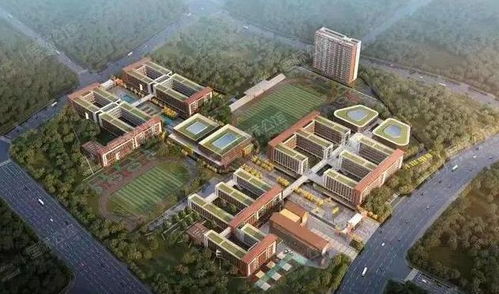 加速擴張 華師系4所新學校明后年迎來開學,在這幾個區