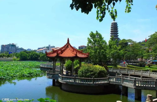 9月7日 9日 廈之憶 鼓浪嶼 動物王國 熊貓館 國際大馬戲表演 環島路三日游299元