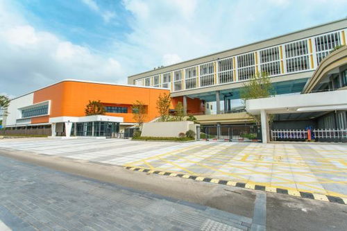 江北這所九年一貫制學校9月正式投用 大量現場圖來了