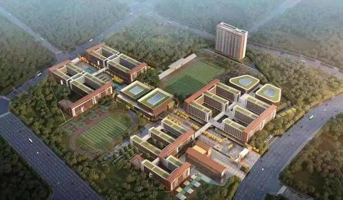 吹風2萬 ,96㎡做4房 增城再添地鐵盤 附視頻