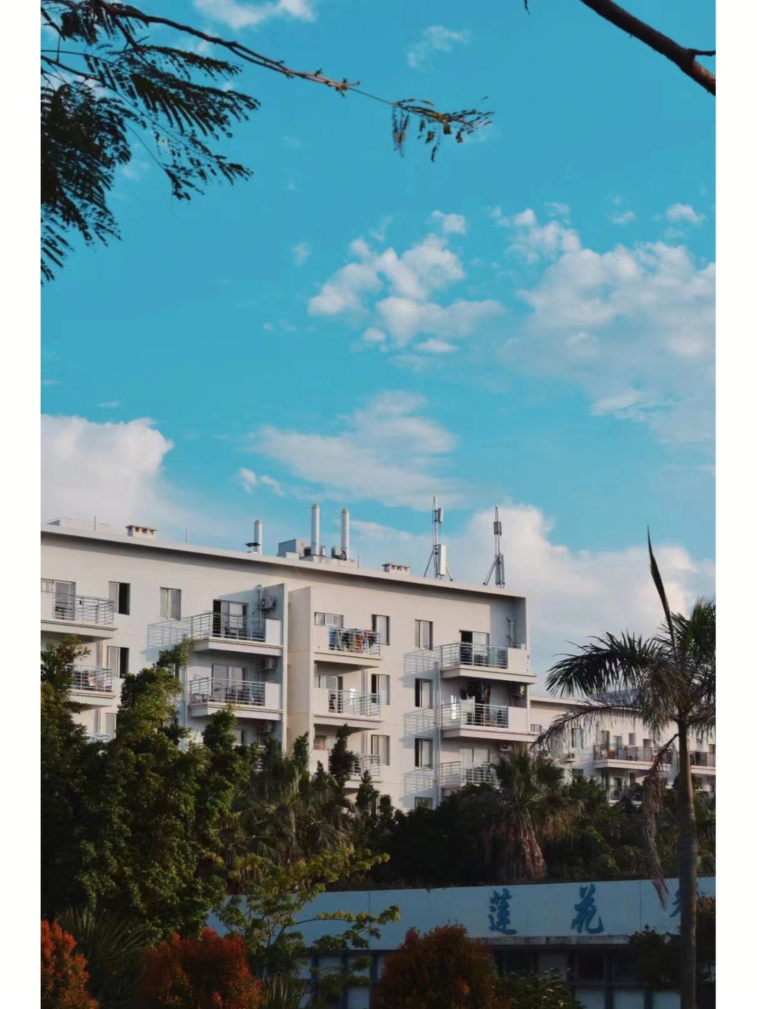 廈門南洋職業學院