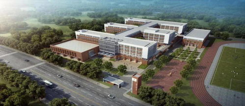 這個區或成教育高地 11所名校相繼落戶