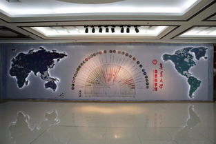 一條游街穿墻的 大魚 丨集大3噸抹香鯨真皮形態標本 搬家 全程實拍