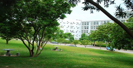 廈門南洋學院新聞網---南洋相冊