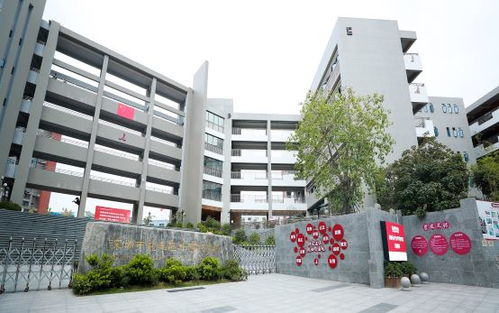 深圳市龍華區(qū)外國語學校教育集團觀湖校區(qū)