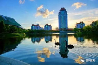 倚在櫻花樹下讀書,踩著落英繽紛的小徑,耳畔鈴聲細(xì)碎 我們一起去看最美大學(xué)...德國建筑 中式典雅