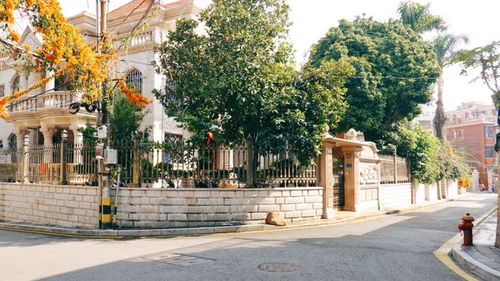 廈門 畢業旅行,來廈門找 廈門