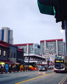 痛并快樂著 4拖2新加坡5天4夜親子游